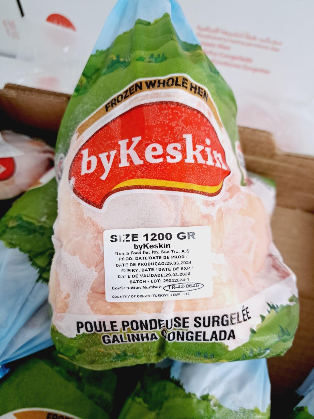 BÜTÜN PİLİÇ