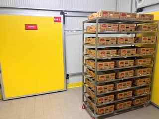 Production Facilities
